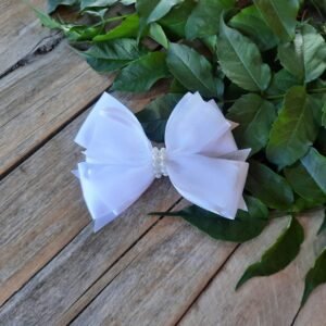 Hebillas con Flores o Moño