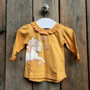 Remera de Algodón Manga Larga